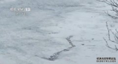 �������Ӷ���ˮ��¼������ע